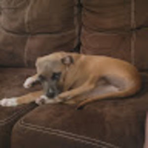 Meet your Posher, Mason